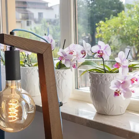 Casa Marino 게스트하우스 4*