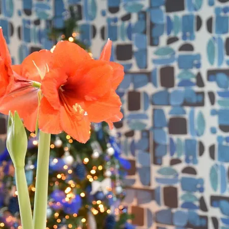 Casa Marino Sorrento