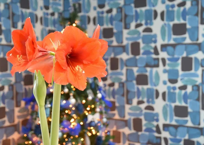 Casa Marino Półwysep Sorrentyński